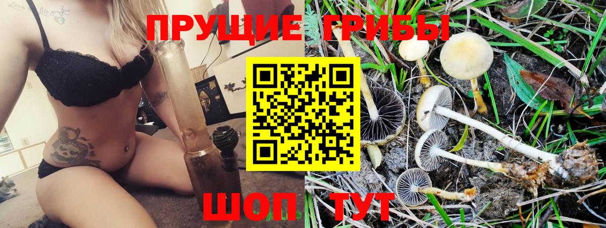 наркота  Псилоцибиновые грибы ЛСД  Вход с VPN  Волоколамск 