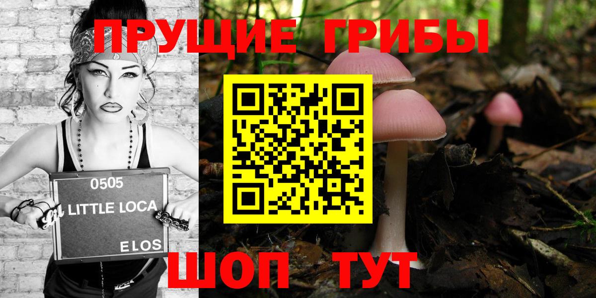 Псилоцибиновые грибы мухоморы Волоколамск